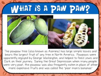 Paw Paws - My students didn't know anything about this fruit until I took the time to explain the context and history. This completely changed the song and lesson for them!