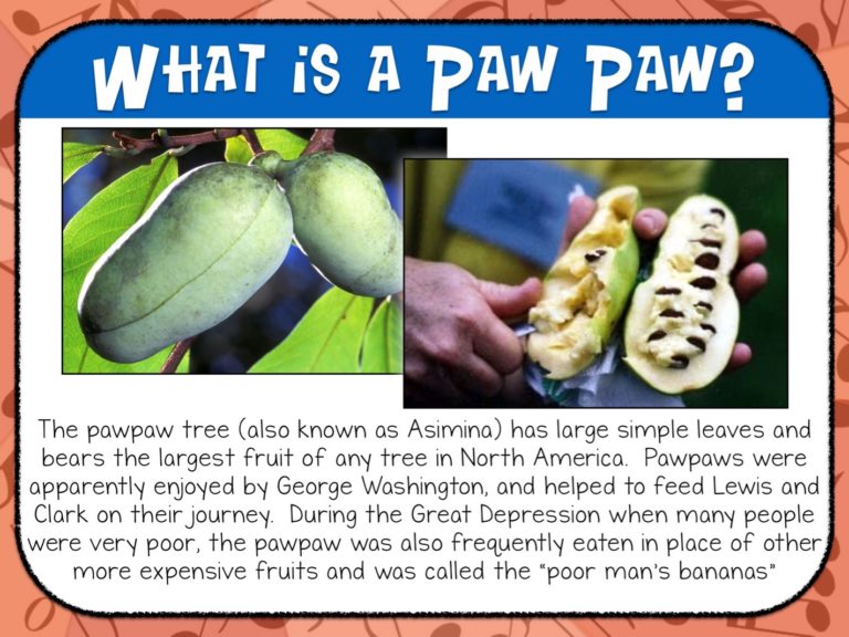 Why Teach Folk Songs? Resources, Howto, and More Make Moments Matter