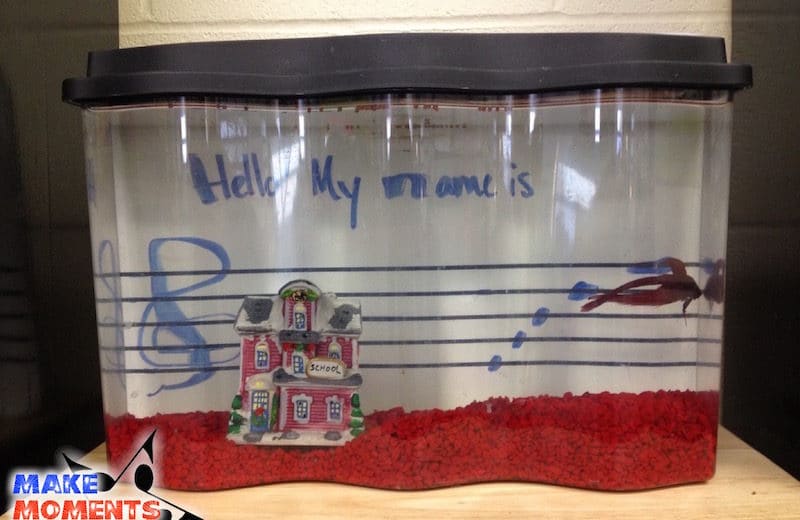 Our class pet is a fish named EGBDF. He helps us remember the notes of the treble clef because of his name and smiling FACE. Read on to learn more!